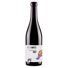 Gillo Dorfles IGP Paestum Aglianico 2017