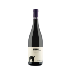 Jungano IGP Paestum Aglianico