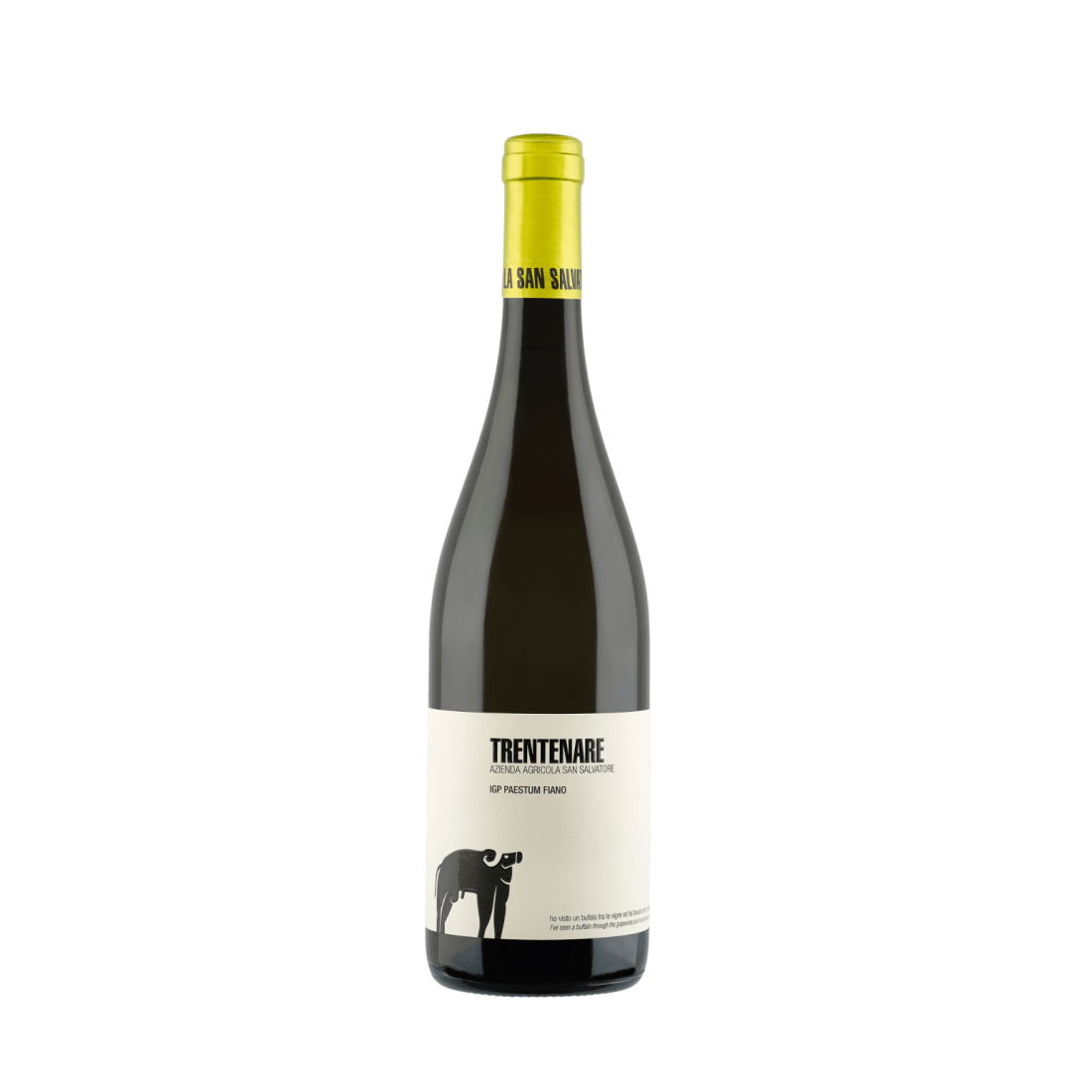 Trentenare IGP Paestum Fiano